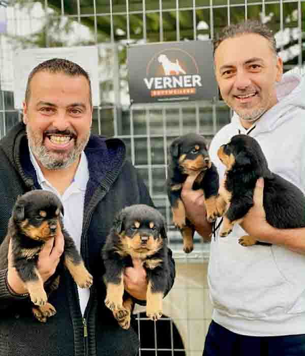 Γιάννης Βέρνερ Γιώργος Αξάς & Rotties